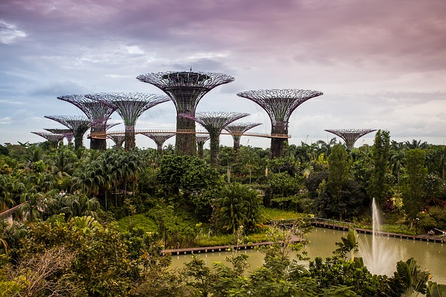 Singapore-Botanical Garden