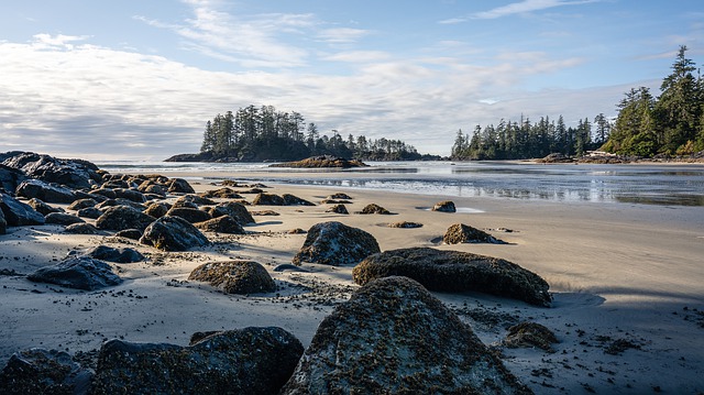 Top Best Vancouver Beaches That You Must Visit