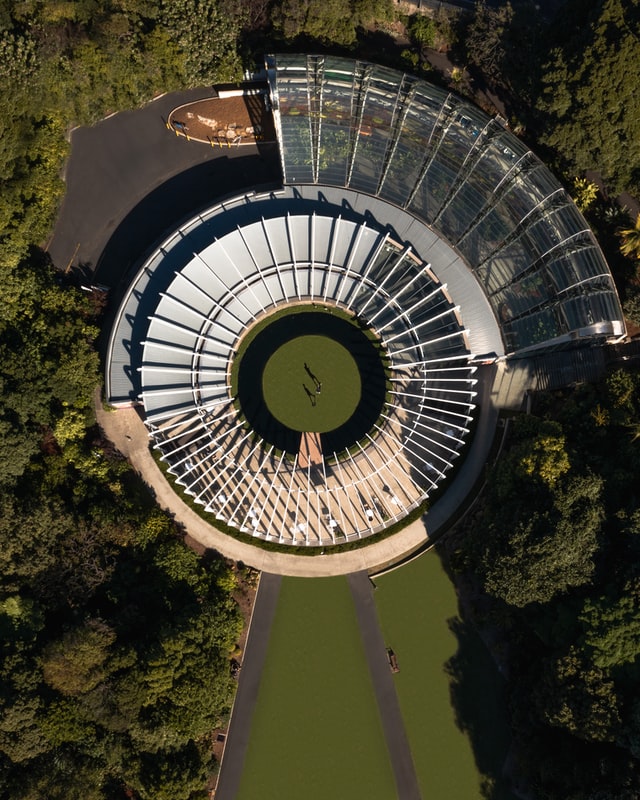 Royal Botanic Garden Sydney- best things to do in sydney australia