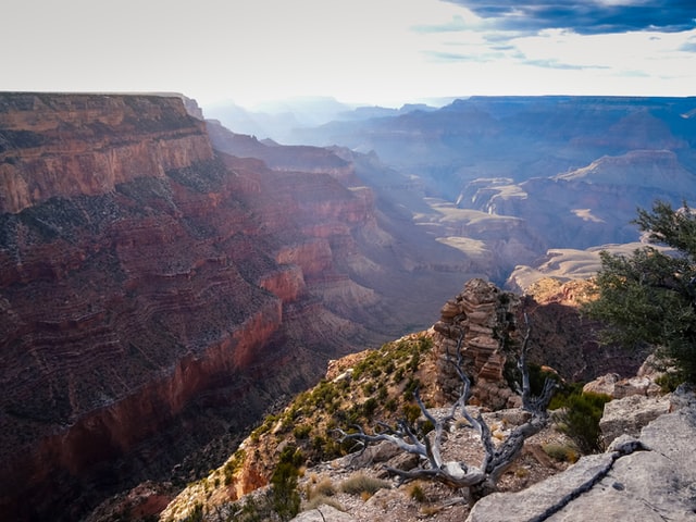 The Grand Canyon-fun places to go in arizona
