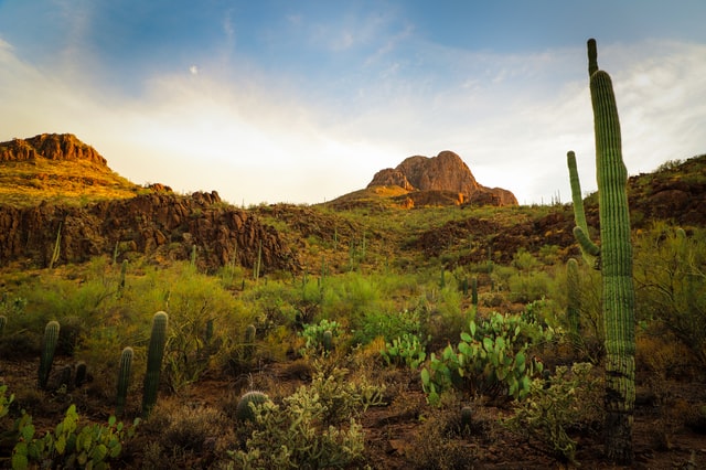Tucson-famous places in arizona