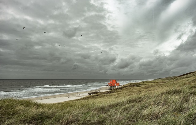 best beaches in netherlands
