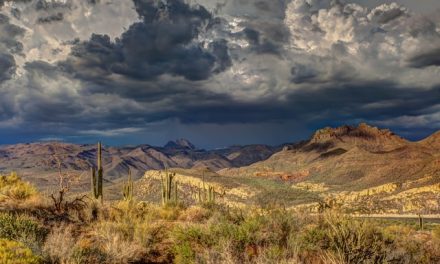 Things To Do In Arizona For Spending Time In Vacations
