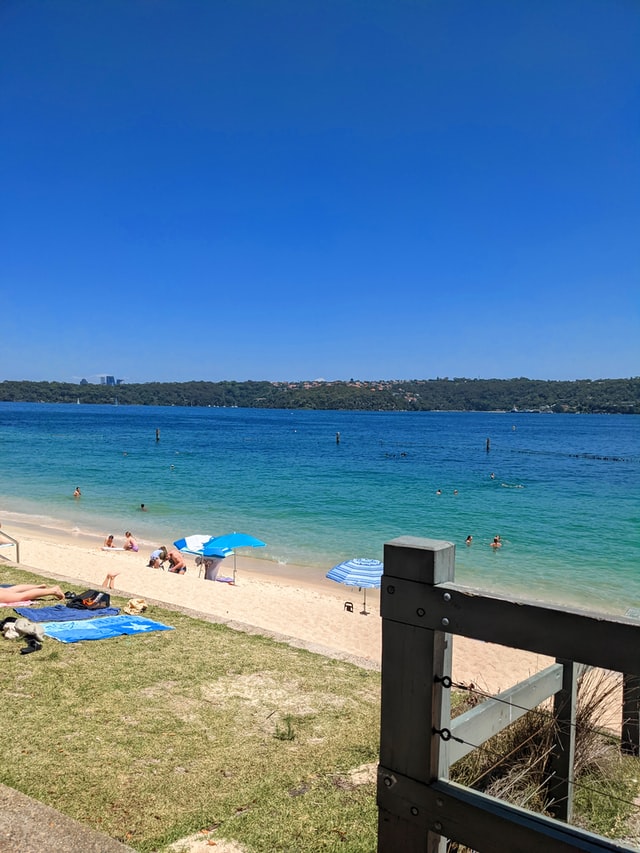 Shark Beach Sydney- best beaches in sydney