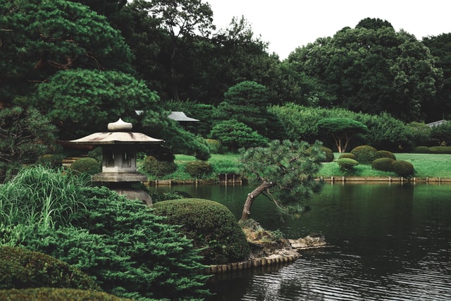 Shinjuku Gyoen National Garden - things to do in tokyo japan