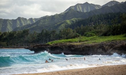 Hawaii Beach For Relaxing And Spending Time