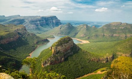Why is Spring the Best Time to Visit South Africa?