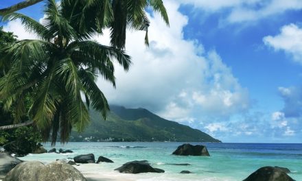 Which Month Is The Best Time To Visit Seychelles?