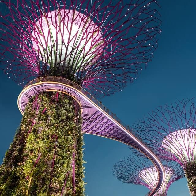 When Is The Best Time To Visit Singapore?