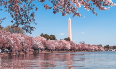 When Is The Best Time To Visit Washington DC?