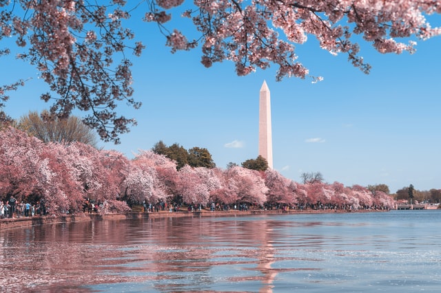 When Is The Best Time To Visit Washington DC?