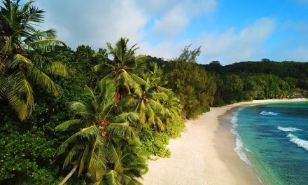 When Is The Best Time To Visit Barbados?