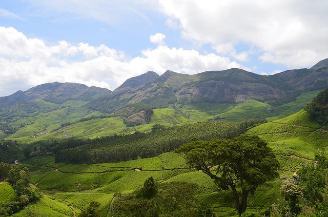 When Is The Best Time To Visit Munnar?