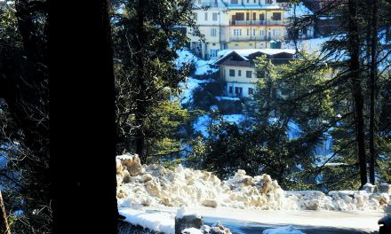 When Is The Best Time To Visit Shimla?