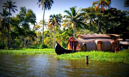 When Is The Best Time To Visit Kerala?
