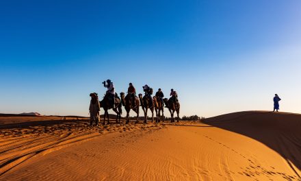 How to Make the Most out of your Desert Safari Dubai Adventure