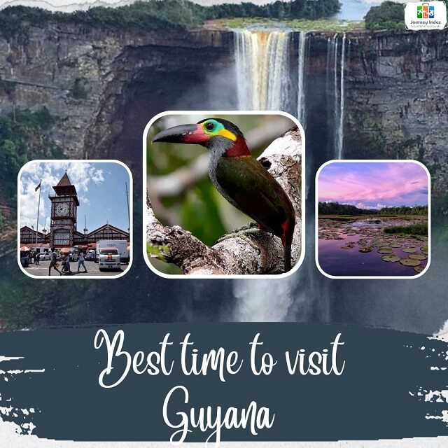 The Best Time to Visit Guyana for Unforgettable Adventures