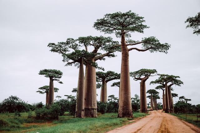 WHEN IS THE BEST TIME TO VISIT MADAGASCAR?